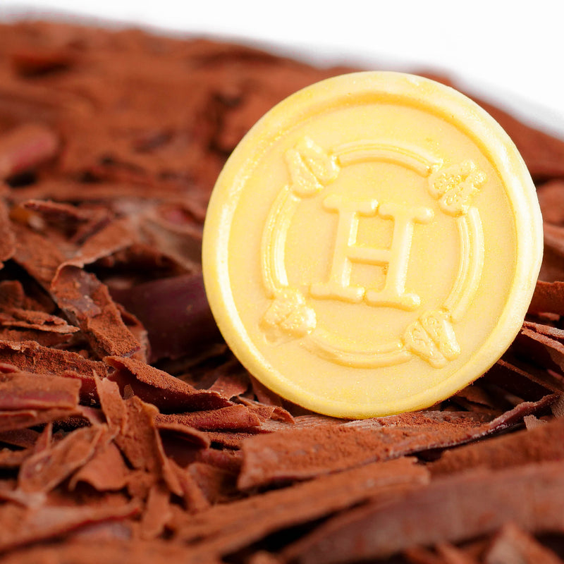 HORATII logo in Chocolate